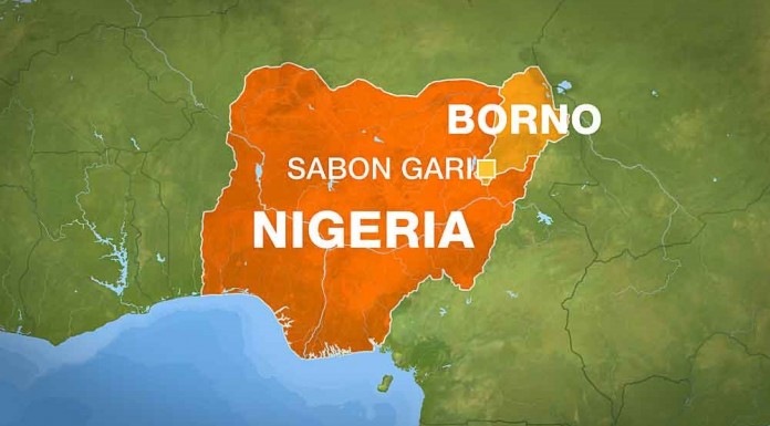 Scores killed In Borno Cattle Market Blast