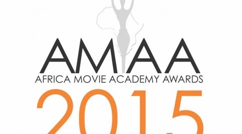 Full list of winners at 2015 AMAA Award Ceremony