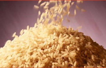Nigeria To Partner Brazilian Investors On Modern Rice Production