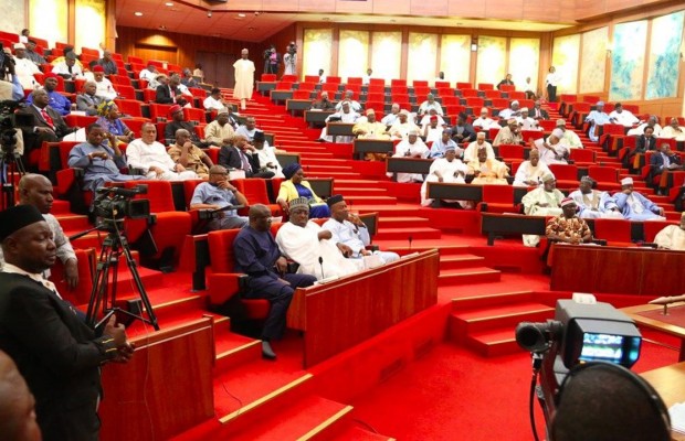 Constitution Review: Senate to Prioritize State Police ,Devolution of Power