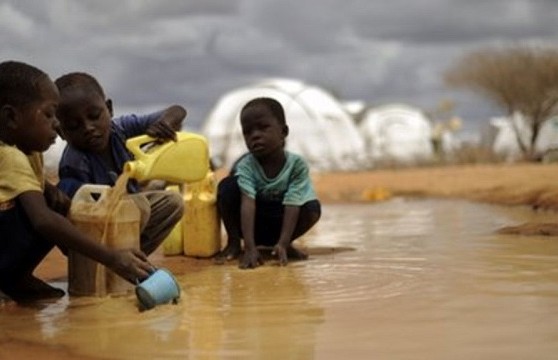 Cholera outbreak claims 12 lives in Adamawa