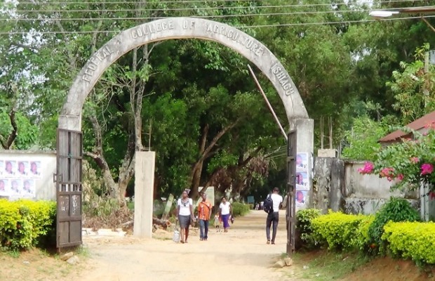 Federal college of agriculture Ibadan closed down