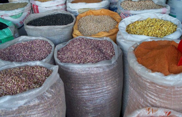 FG plans to reduce cost of foods