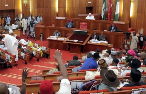 Senate calls for resignation of customs CG