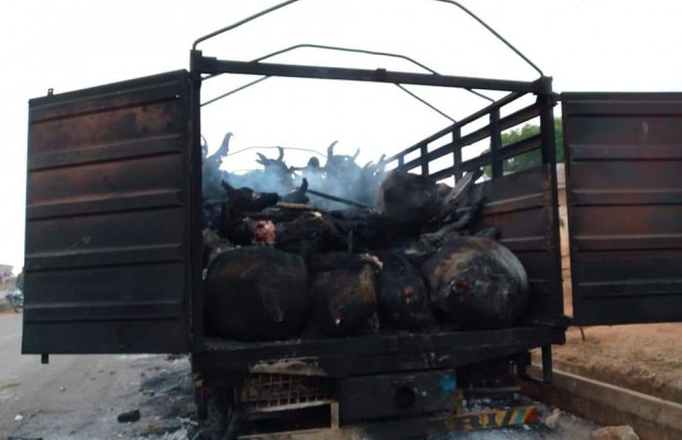Angry Mob Set Cattle Worth Millions of Naira Ablaze in Oyo