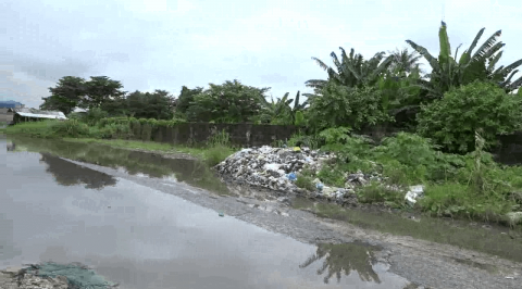 Environmentalist urges Deltans to relocate