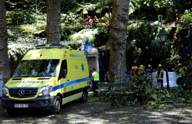 falling tree kills 12 worshipers in portugal
