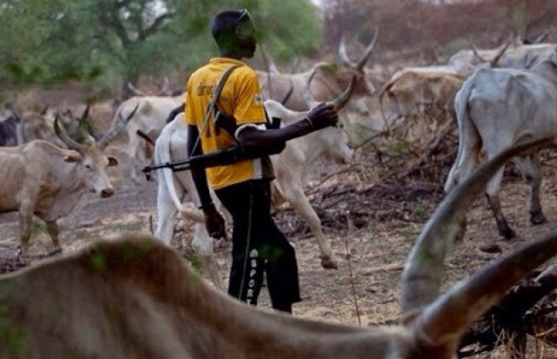 Suspected Herdsmen Hack Farmer to Death in Ibarapa