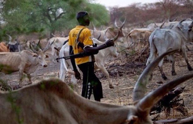 MASSOB alert Igbos over herdsmen attack