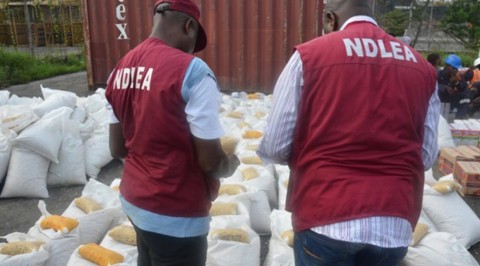 Adamawa Residents Lauds NDLEA in the Fight Against Drug Abuse.