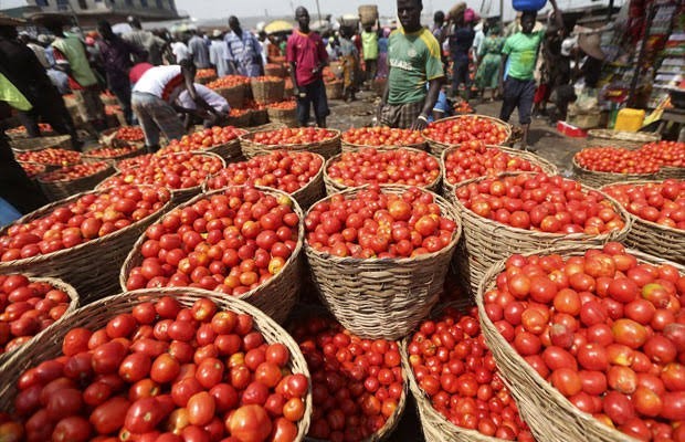 CBN, Kaduna Governor Flag-Off N10 Billion Tomato Company