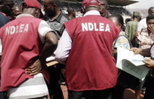 NDLEA Arrests 236 Drug Suspects In Anambra