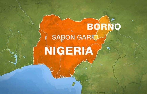 Scores killed In Borno Cattle Market Blast
