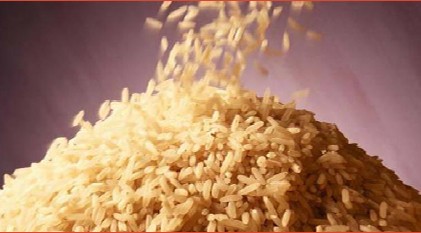 Nigeria To Partner Brazilian Investors On Modern Rice Production