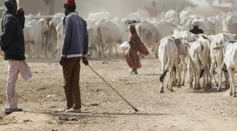 Armed Herders Kill Five , Injures Six in Benue Community.