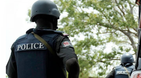 Police arrest suspected  DPO killers in Imo