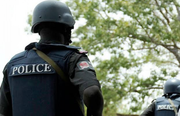 Police arrest suspected  DPO killers in Imo