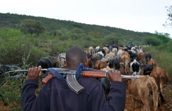 Armed Herder Arrested In Benue.