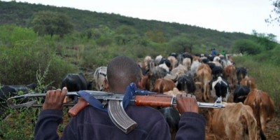 Armed Herder Arrested In Benue.