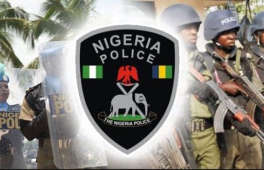 FCT Police Nab Chef For Kidnapping 12-yr-old Boss’ Son