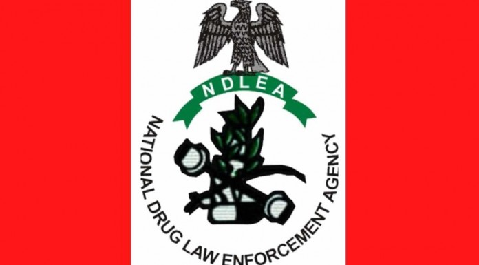 NDLEA Reiterates Commitment Towards A Drug Free Nigeria