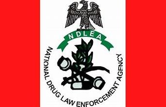 NDLEA Seizes 49.70KG Of Heroine In Lagos