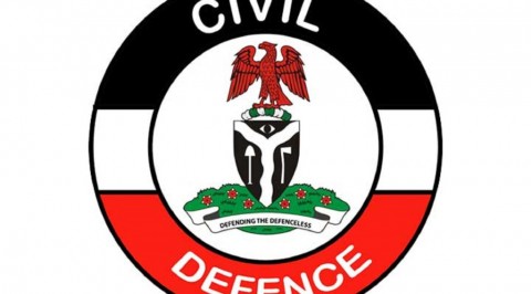 Oil Theft, Rivers NSCDC Destroys Bunkering Site.