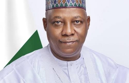 Insecurity, Shettima asks for increase budget allocation