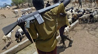 Herders/ Farmers Clash: Akoko Threaten To Resort to Self-Defence