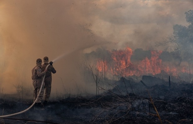 Brazil bans land clearance blazes for 60 days