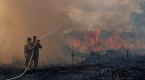 Brazil bans land clearance blazes for 60 days