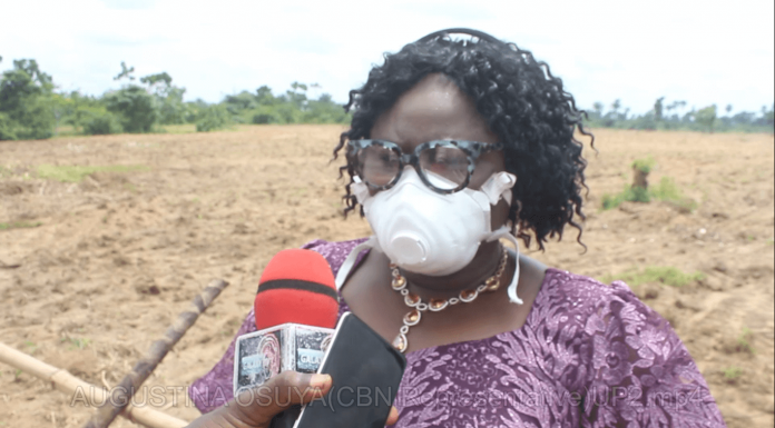 Maize Farmers Flag Off CBN Anchor Borrowers Programme in Rivers