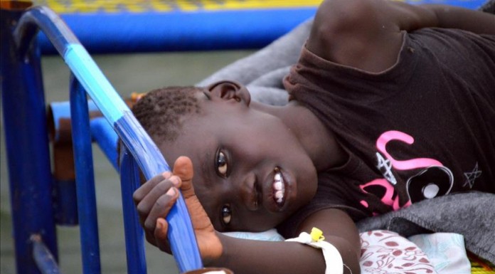 Cholera breaks out in Borno