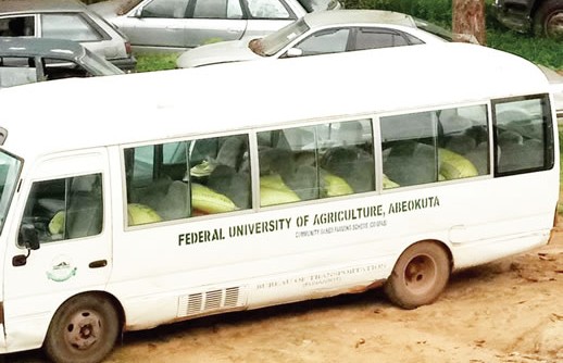 Customs intercepts FUNAAB bus with cannibis