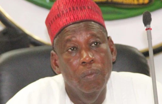 Kano Speaker remover was to target Governor