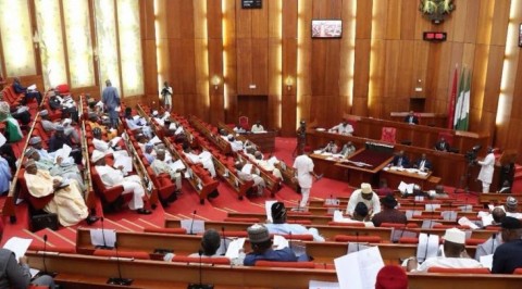 Senate Seeks Imposition Of 35 Percent Import Duty On Soap Noodles