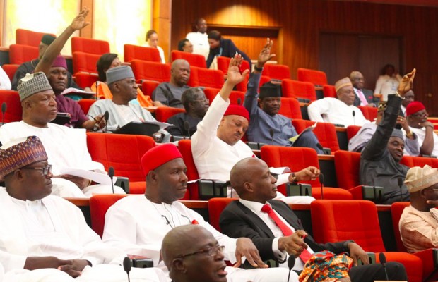 Rowdy session at Senate hearing