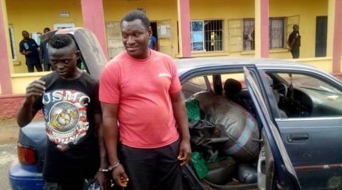 Police arrest pipeline vandals in Ogun