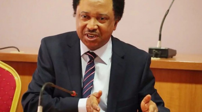 Bandits Living Better Than Workers in Kaduna State - Shehu Sani