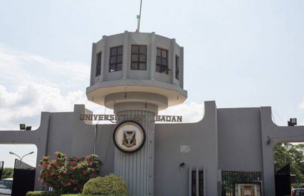 SSANU, NASU Paralyze Activities at the University of Ibadan