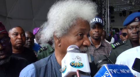 Security: Wole Soyinka calls for state of emergency