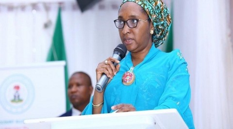 Finance Minister  says FG to Achieve 15% Revenue-GDP Ratio