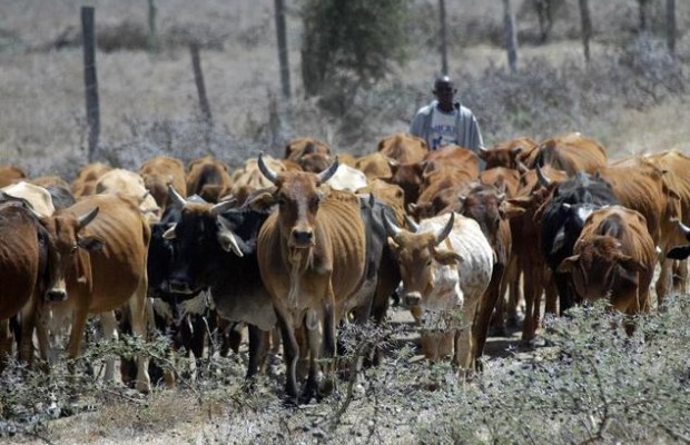 Oyo moves against herdsmen