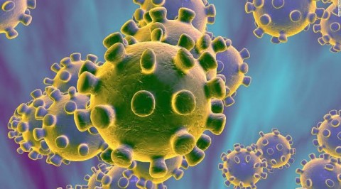 WHO Says Coronavirus Outbreak not yet Pandemic