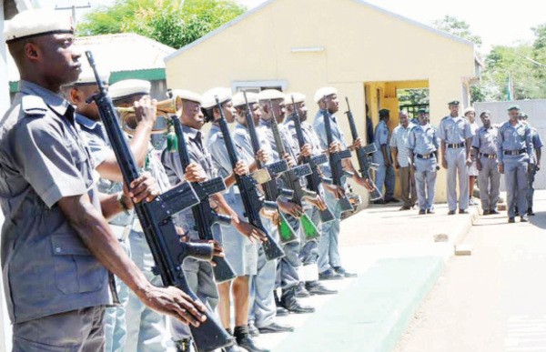 Customs seizes smuggled elephant tusks