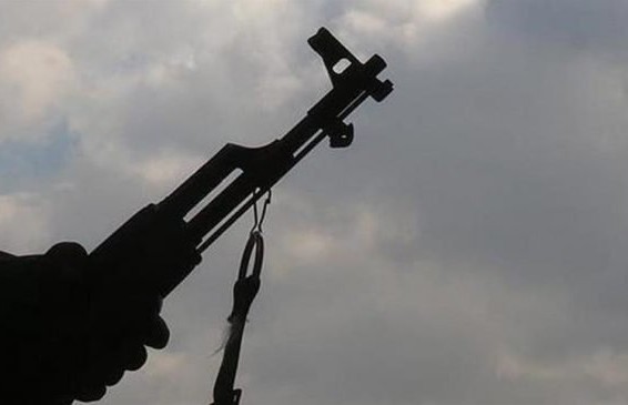 Gunmen kidnap Adamawa professor, kill brother