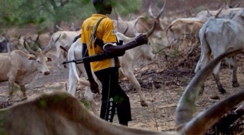 Delta Herdsmen Attack: Gunshot Victim Recounts Ordeal, as Lawmaker Visits Displaced Persons.