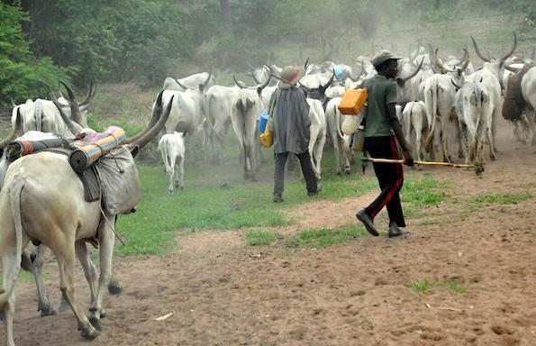 Herdsmen signs peace pact with Ekiti government