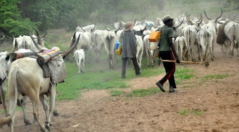 4000 Herders Arrive Kaduna over Threats by Southern States