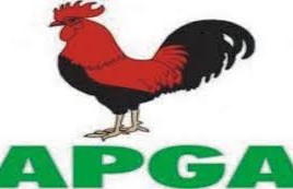 APGA runs risk of disqualification- Okoli Akirika